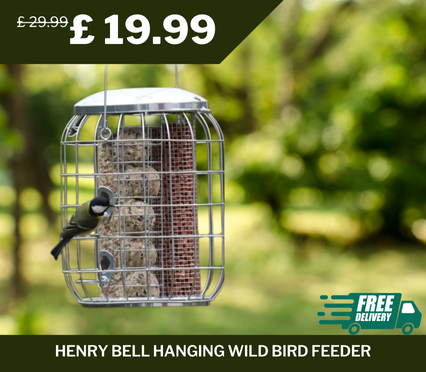 Henry Bell Hanging Wild Bird Feeder, originally £29.99, now £19.99 – 33% discount with free delivery